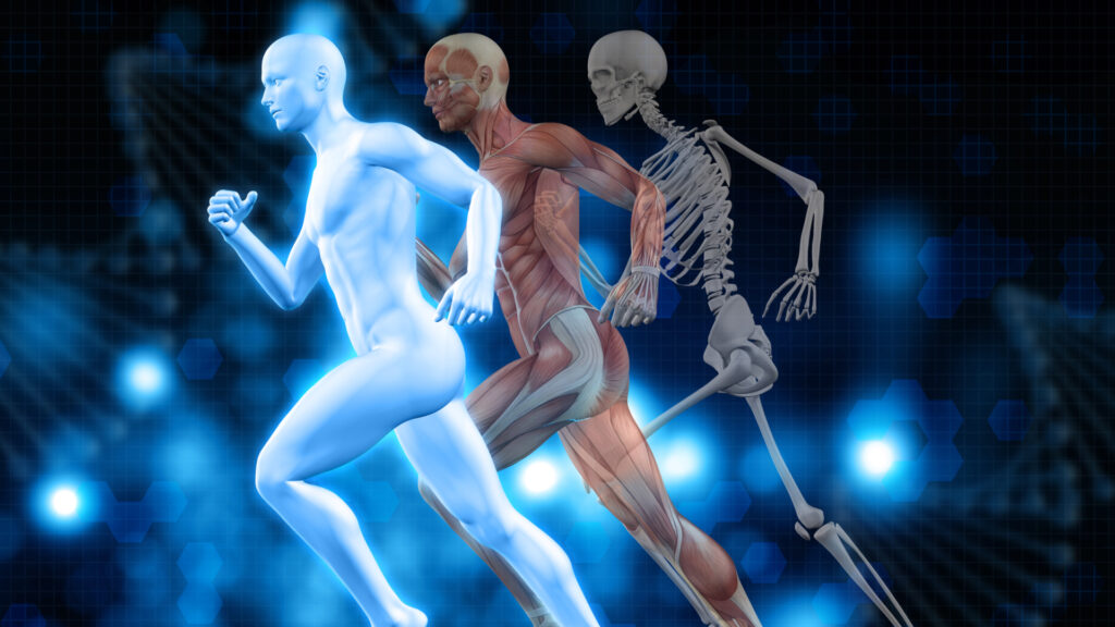 The-Winter-Superfood_Bone-Strong